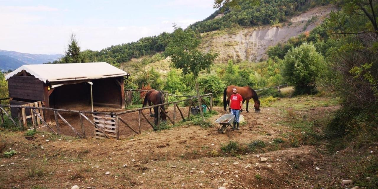 Agricampeggio Ca Di Mazza Monzuno Exterior foto