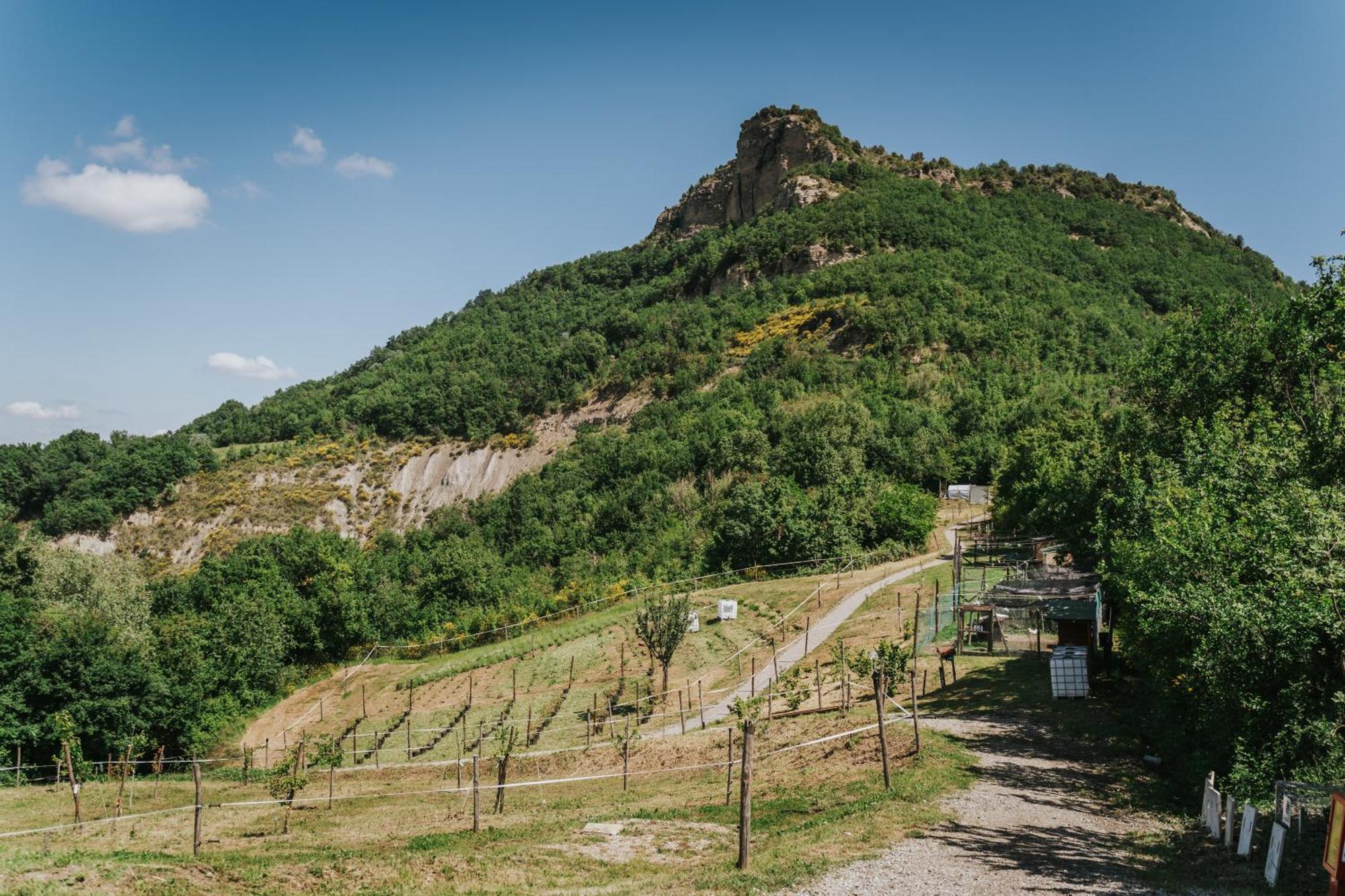 Agricampeggio Ca Di Mazza Monzuno Exterior foto